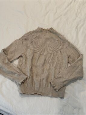 Ann Taylor high neck sweater